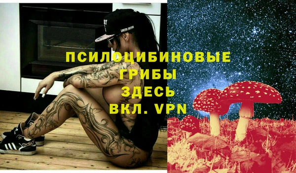 спиды Алзамай